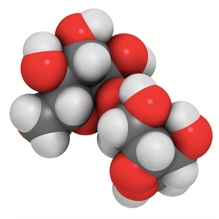 What are the benefits of Trehalose