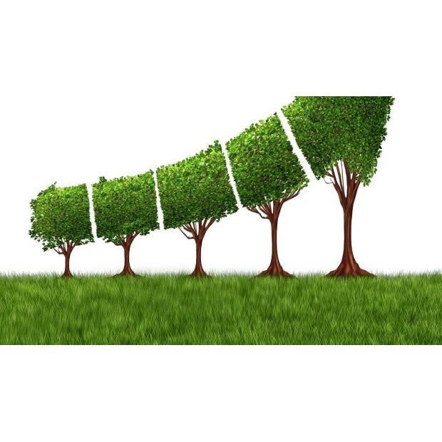 The move towards Enlightened economics