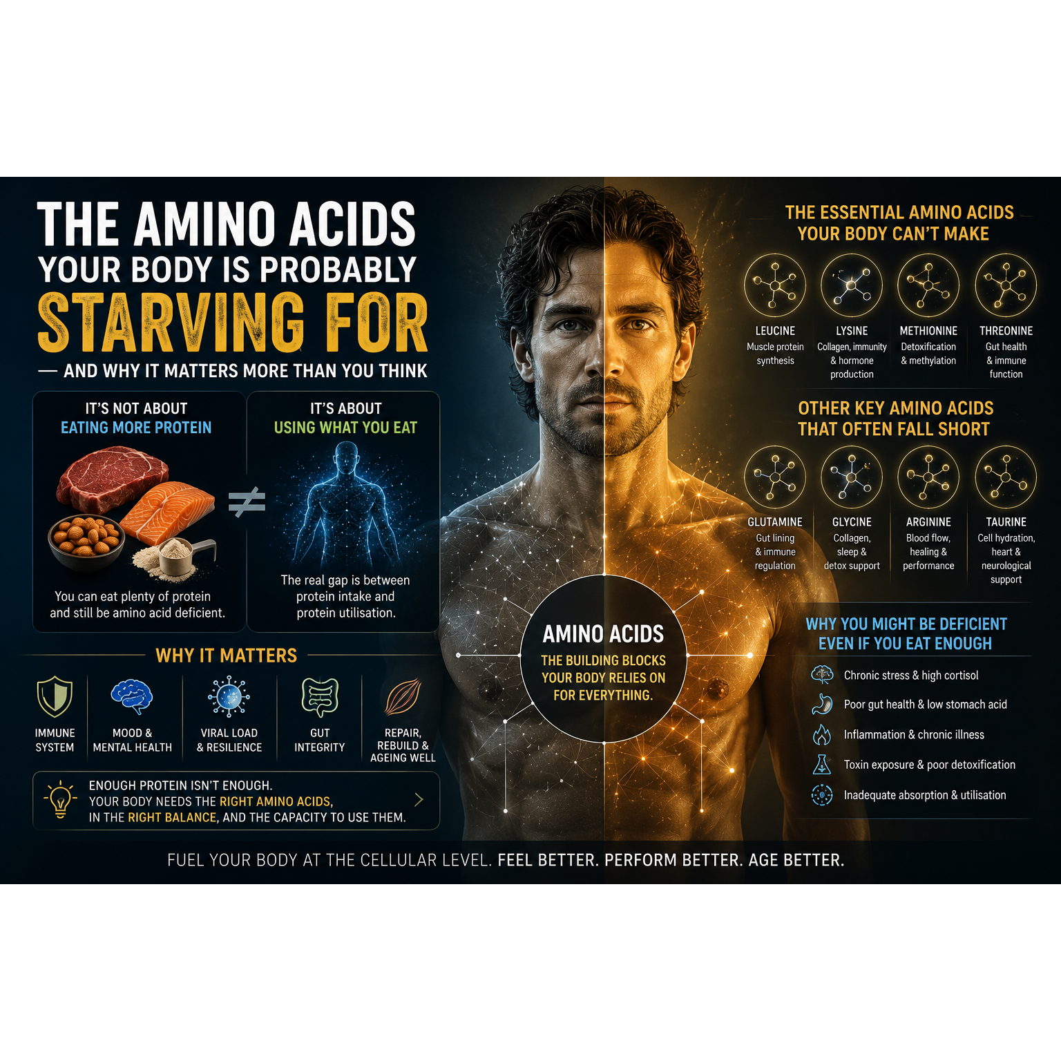 The Amino Acids Your Body Is Probably Starving For — And Why It Matters More Than You Think