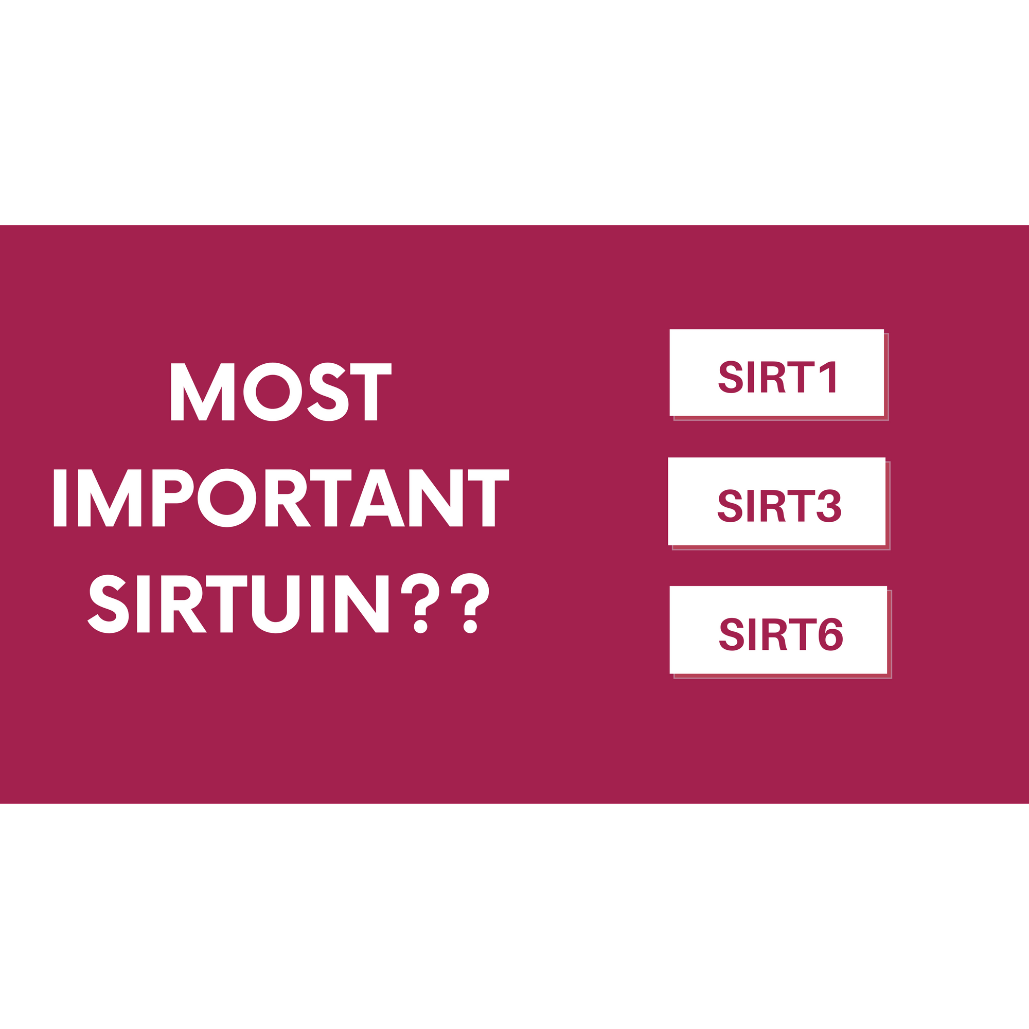 Sirtuins and Aging - What you need to know