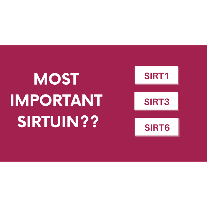 Sirtuins and Aging - What you need to know