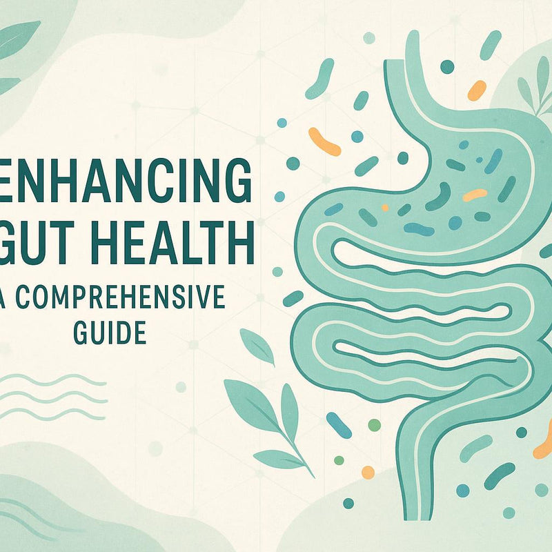 Gut Health: A comprehensive guide 