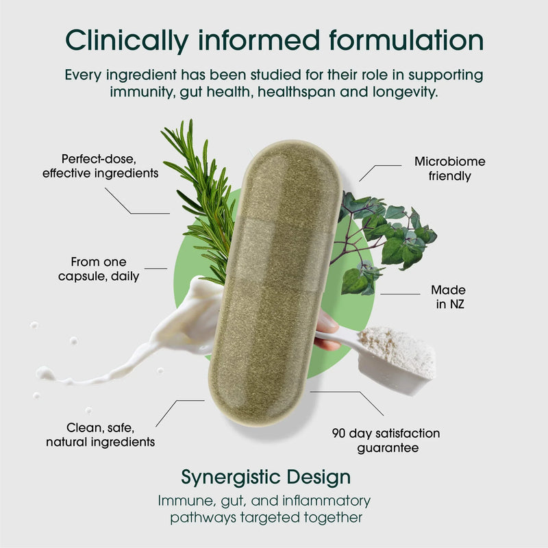 Rejuvenate Your Immune System: How Rejuvenate Pro Targets Immunosenescence and Aging Pathways