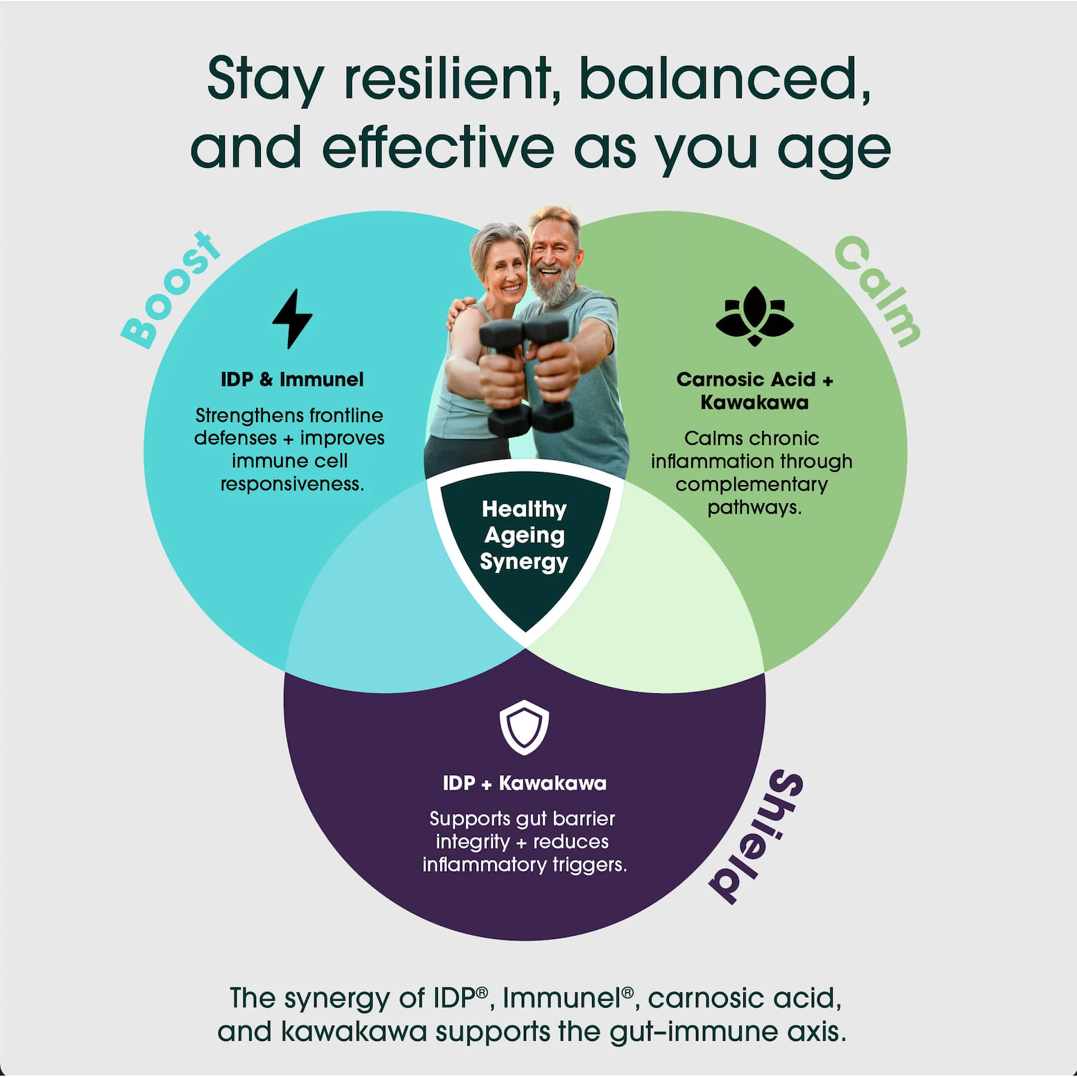 Why Your Immune System is the Key to Healthy Aging