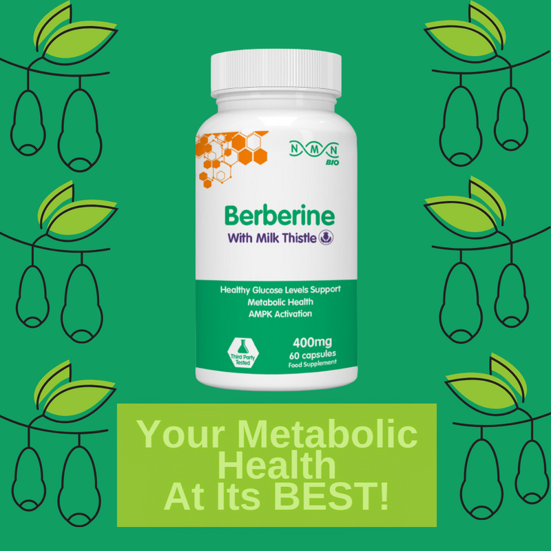 Berberine with Milk Thistle 400mg |60 Capsules