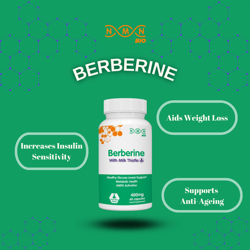 Berberine with Milk Thistle 400mg |60 Capsules