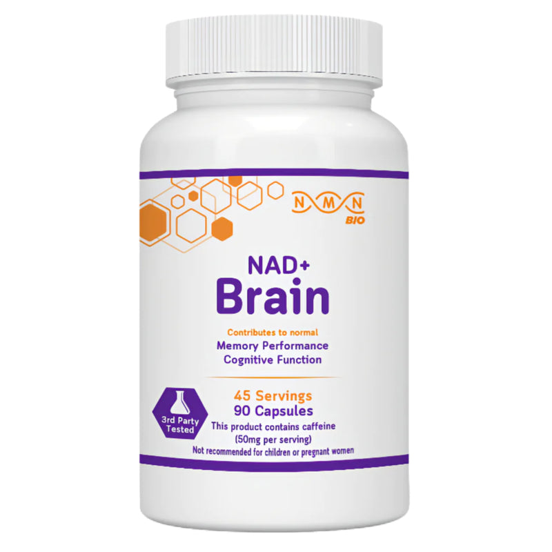 Nootropic for Brain Aging