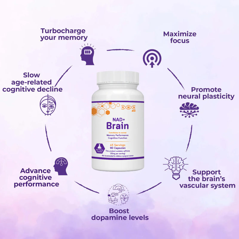 Nootropic for Brain Aging