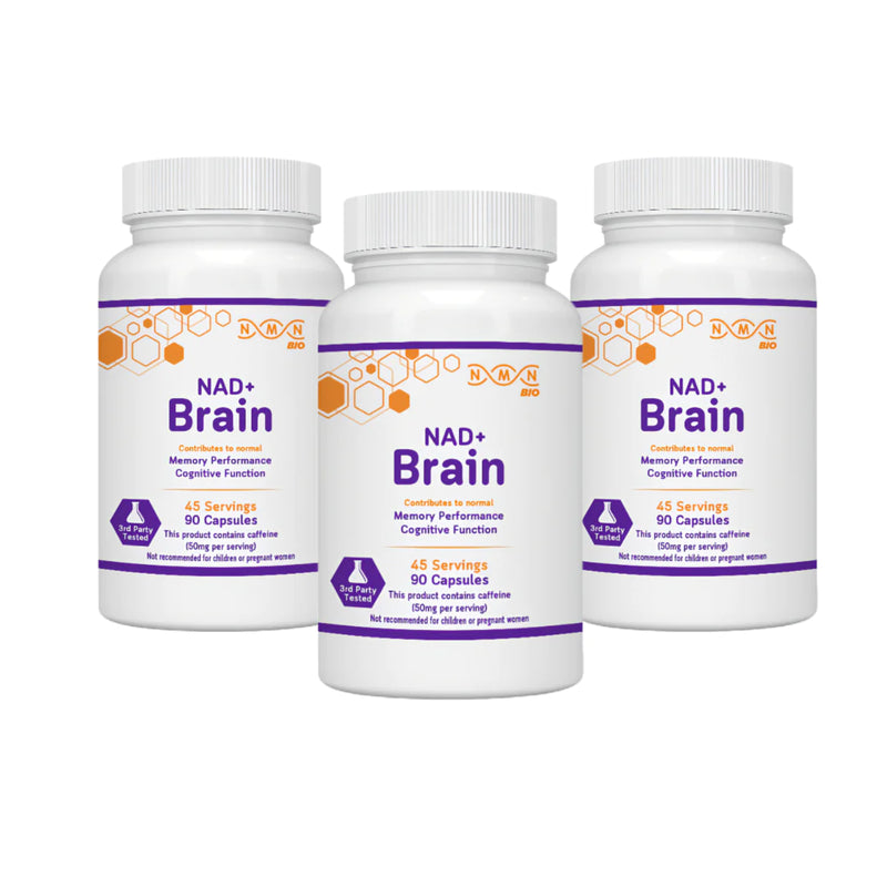 NAD+ Brain | Healthy Brain Aging | Nootropic