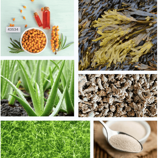 STEMREGEN - 30 serves (30 Day Supply) - Stem Cell Support Supplement