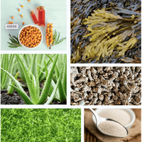 STEMREGEN - 30 serves (30 Day Supply) - Stem Cell Support Supplement