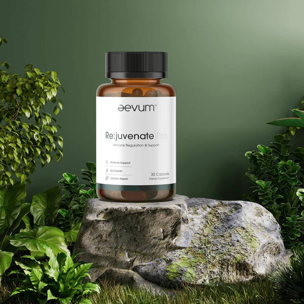 AEVUM Rejuvenate Pro supplement bottle displayed outdoors on a mossy rock, promoting immune support, gut health, and cellular repair