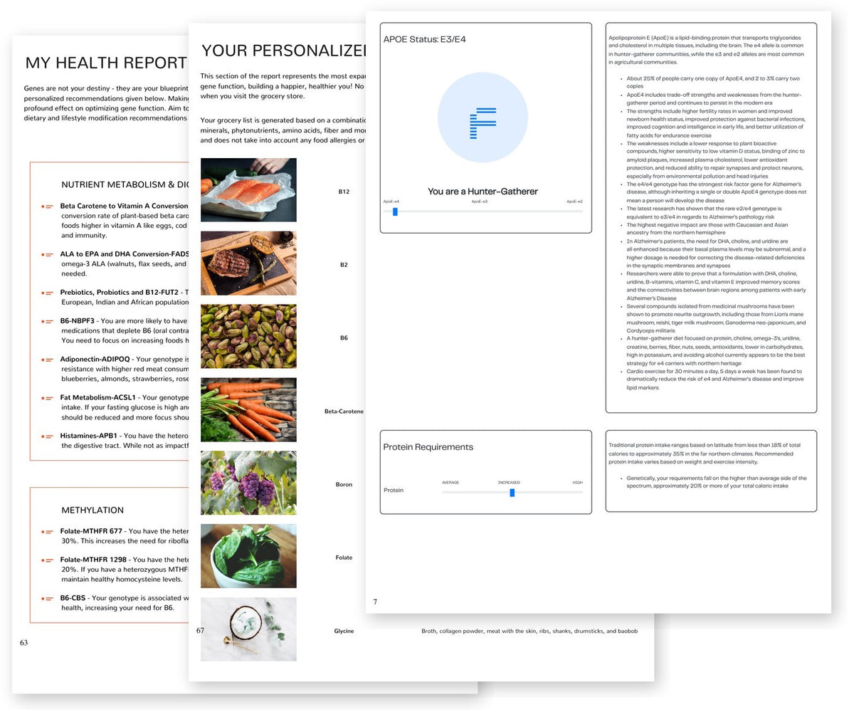 Three pages fanned from a myDNA Comprehensive Health Report: the health report introduction, the personalised DNA-based grocery list and the APOE status page