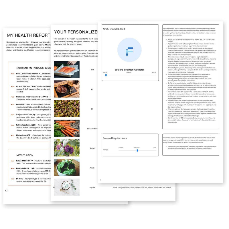 Three pages fanned from a myDNA Comprehensive Health Report: the health report introduction, the personalised DNA-based grocery list and the APOE status page