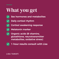 What you get with the Hormone & Stress Map: hormone and stress markers and a 1-hour results consult with Lisa