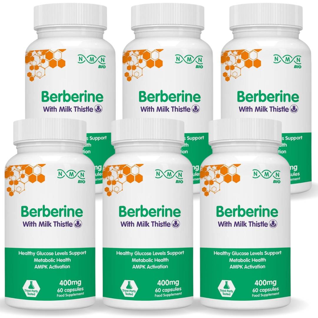 NMNBio Berberine 6-bottle bundle, 400mg with Milk Thistle, 60 capsules each for blood sugar balance and liver health