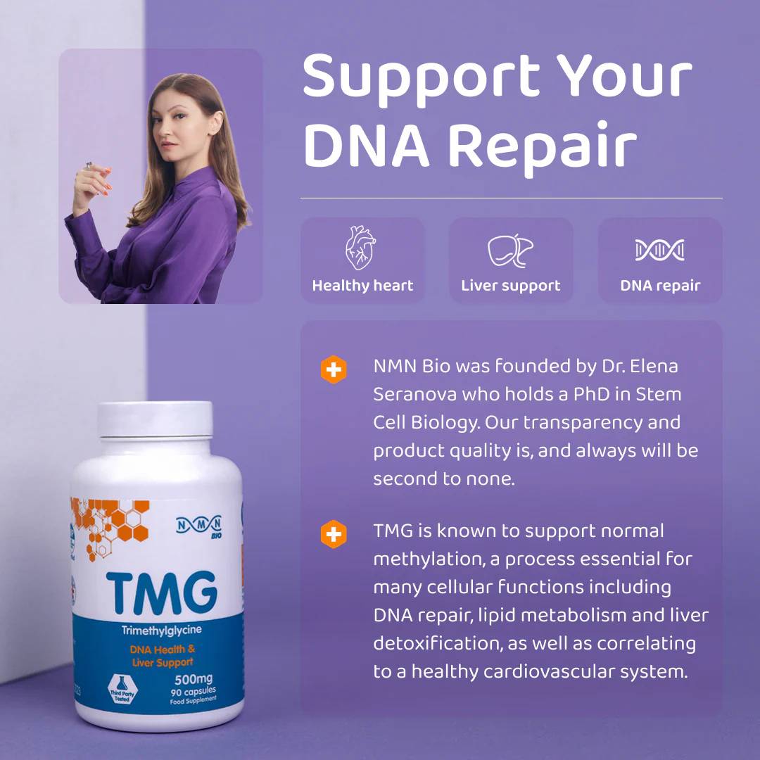 NMNBio TMG supplement supports DNA repair, liver detox, and heart health with 500mg Trimethylglycine