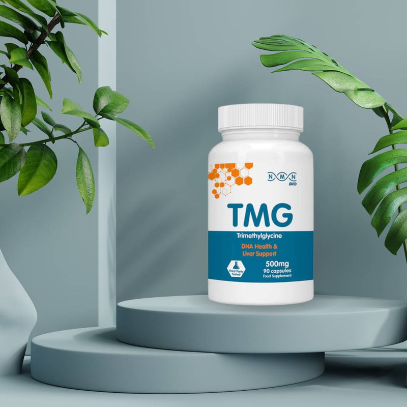 NMNBio TMG 500mg supplement bottle displayed in a lifestyle setting, supporting DNA repair, liver health, and methylation