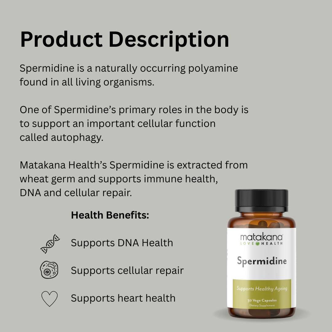 Infographic of Matakana Spermidine supplement highlighting DNA support, heart health, and cellular repair benefits for healthy aging