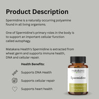 Infographic of Matakana Spermidine supplement highlighting DNA support, heart health, and cellular repair benefits for healthy aging