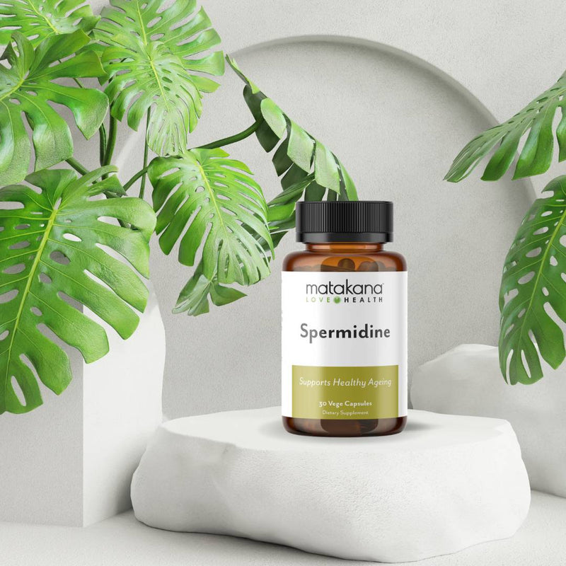 Matakana Spermidine supplement on stone pedestal with green leaves, promoting healthy aging and natural cellular renewal