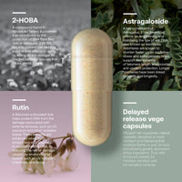 SRW CEL1 Stability supplement with 2-HOBA, Astragaloside, and Rutin in delayed release vegetarian capsules for DNA protection, telomere health, and oxidative stress defense