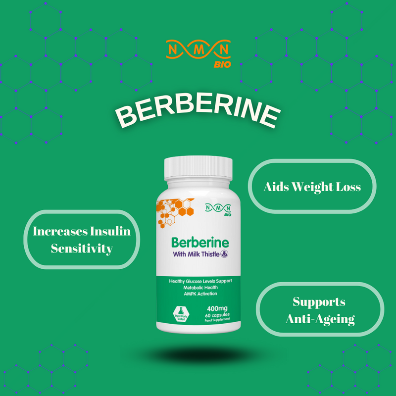 Berberine 400mg | 60 capsules | with Milk Thistle
